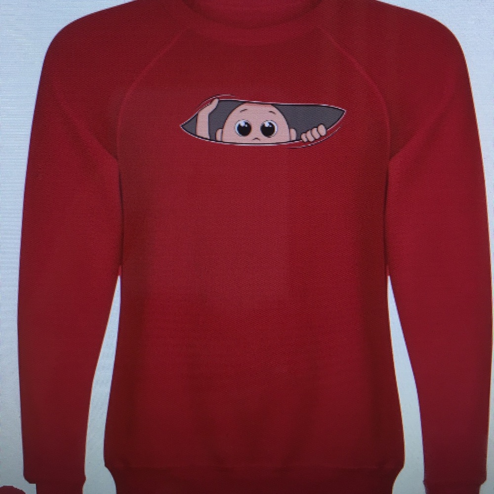 AUDACITY men sweat shirt